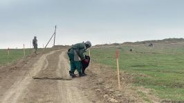 Şuşaya çəkilən yolun 200 min kvadratmetr ərazisi minalardan təmizlənib - ANAMA (FOTO)