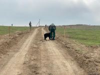 Şuşaya çəkilən yolun 200 min kvadratmetr ərazisi minalardan təmizlənib - ANAMA (FOTO)