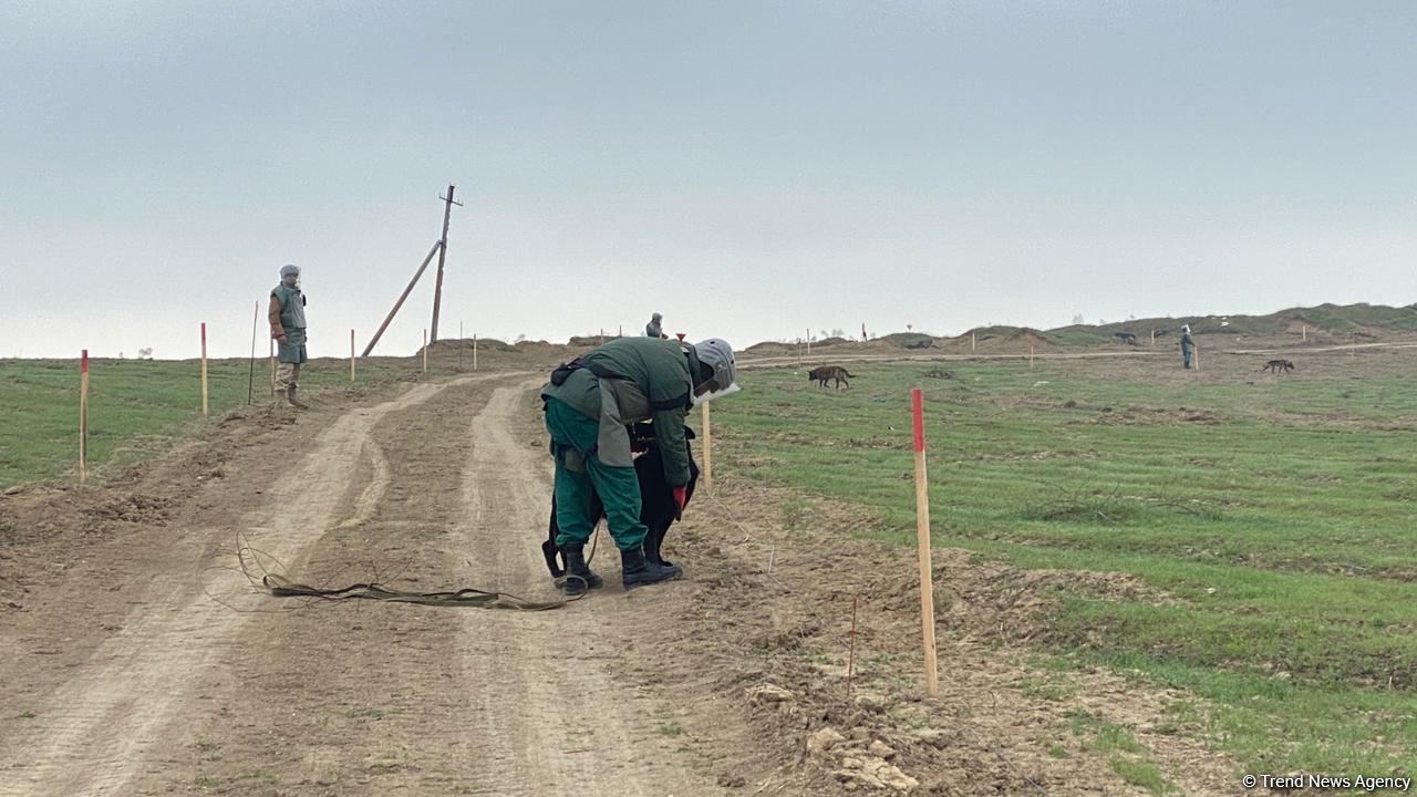 Şuşaya çəkilən yolun 200 min kvadratmetr ərazisi minalardan təmizlənib - ANAMA (FOTO)