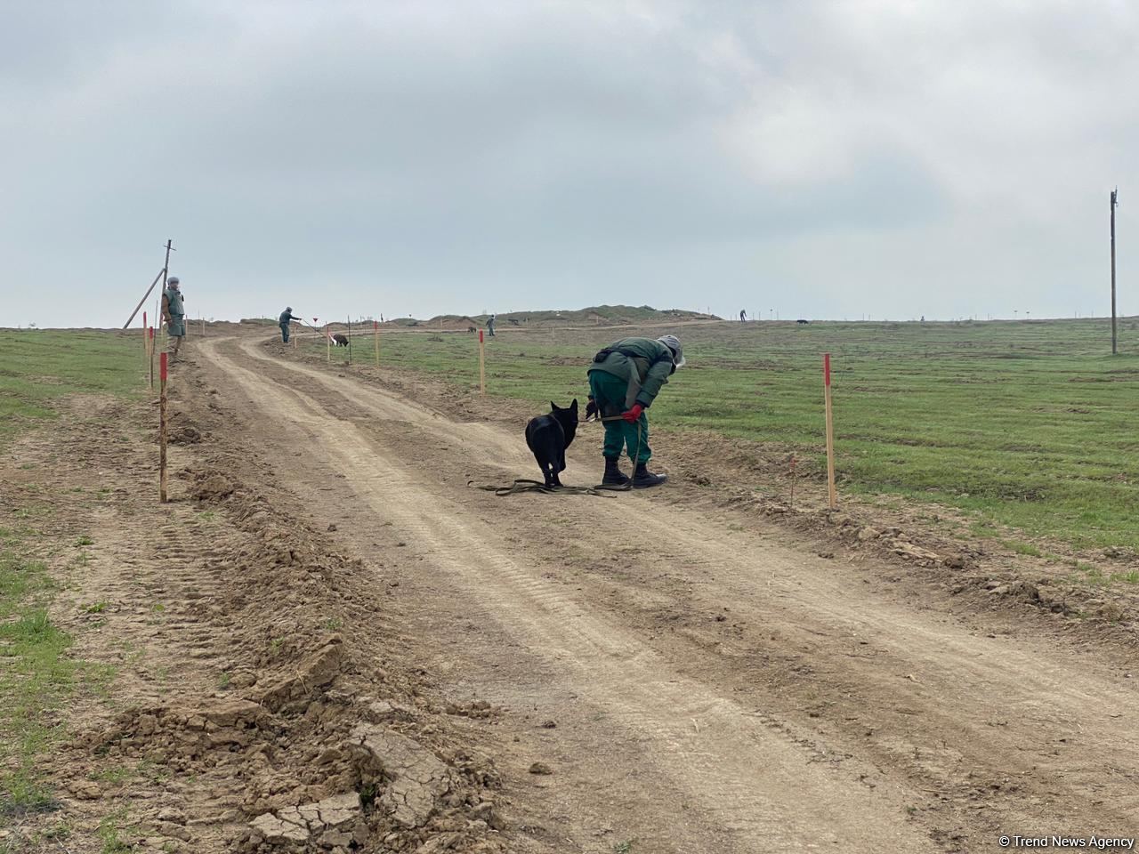 Şuşaya çəkilən yolun 200 min kvadratmetr ərazisi minalardan təmizlənib - ANAMA (FOTO)