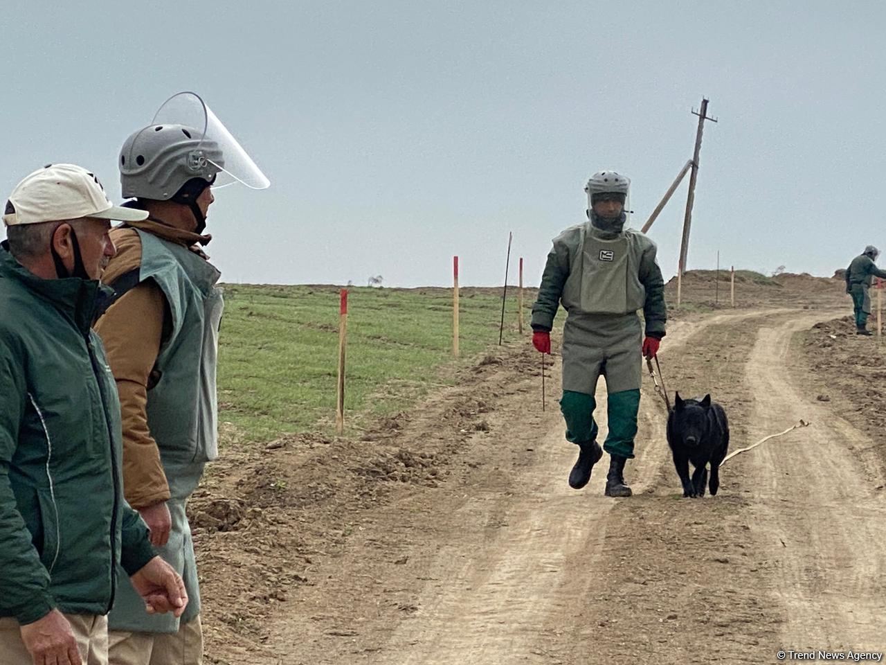 Şuşaya çəkilən yolun 200 min kvadratmetr ərazisi minalardan təmizlənib - ANAMA (FOTO)