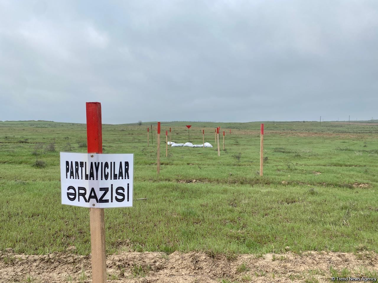 Şuşaya çəkilən yolun 200 min kvadratmetr ərazisi minalardan təmizlənib - ANAMA (FOTO)