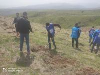 Zəngilanda ağac əkilən ərazilər vaxtilə sıx meşəlik olub - Firdovsi Əliyev (FOTO)