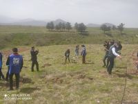 Zəngilanda ağac əkilən ərazilər vaxtilə sıx meşəlik olub - Firdovsi Əliyev (FOTO)