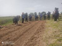 Zəngilanda ağac əkilən ərazilər vaxtilə sıx meşəlik olub - Firdovsi Əliyev (FOTO)