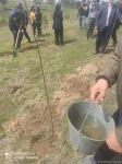 Zəngilanda ağac əkilən ərazilər vaxtilə sıx meşəlik olub - Firdovsi Əliyev (FOTO)