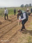 Zəngilanda ağac əkilən ərazilər vaxtilə sıx meşəlik olub - Firdovsi Əliyev (FOTO)