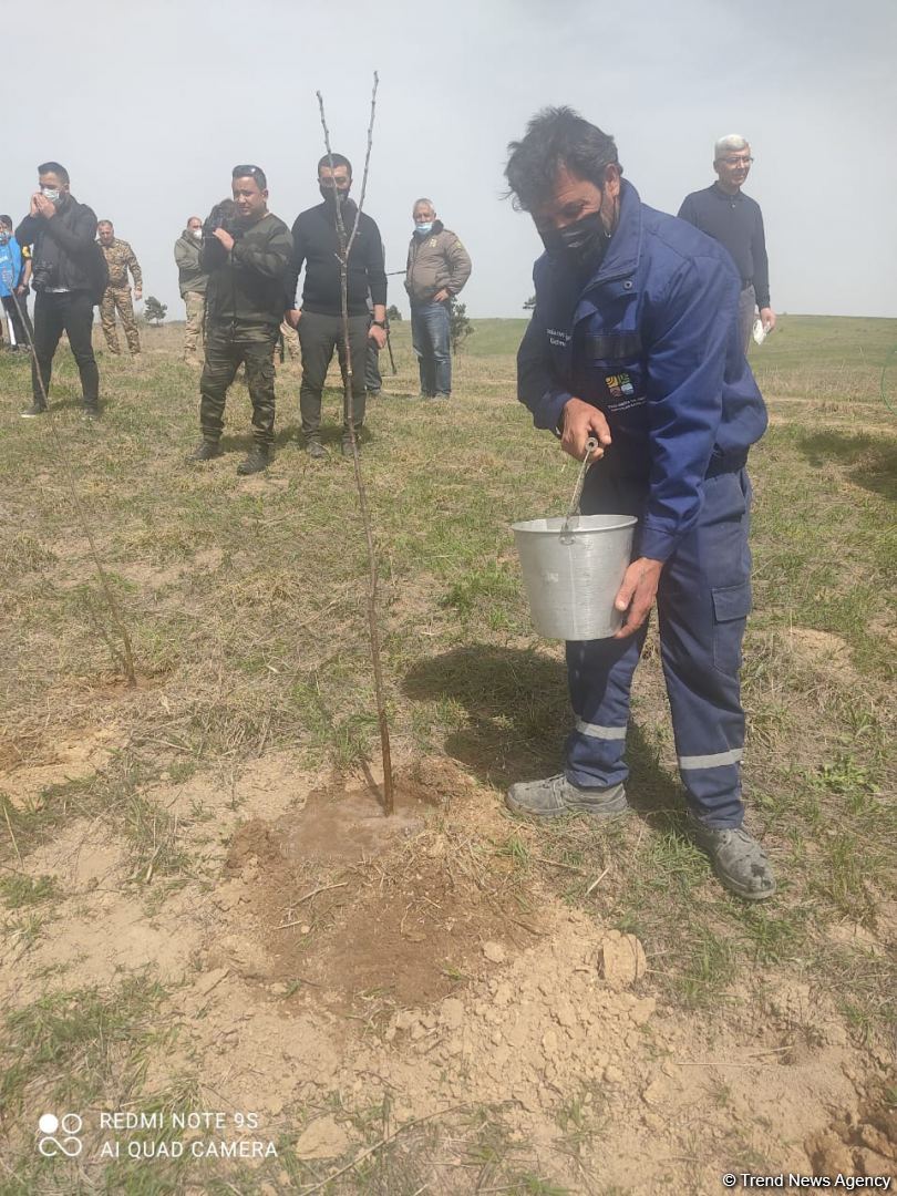 Zəngilanda ağac əkilən ərazilər vaxtilə sıx meşəlik olub - Firdovsi Əliyev (FOTO)