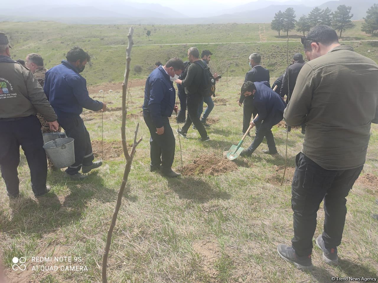 Zəngilanda ağac əkilən ərazilər vaxtilə sıx meşəlik olub - Firdovsi Əliyev (FOTO)