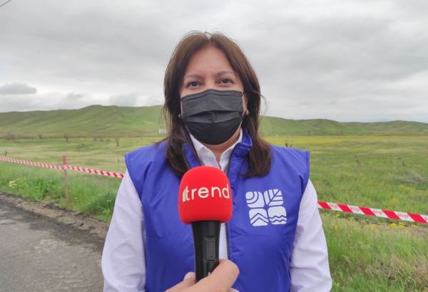 Hidrometeorologiya sahəsində texnoloji bilikli gənc kadrlara ehtiyac var - Umayra Tağıyeva