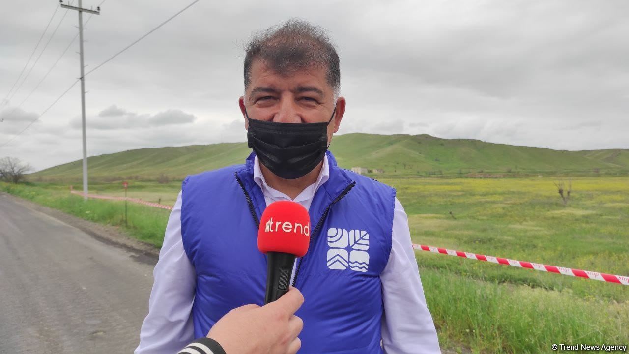 Ermənilər işğal etdikləri Azərbaycan ərazilərində ekoloji terror törədiblər - Firdovsi Əliyev