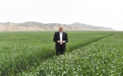 Prezident İlham Əliyev Hacıqabulda "Aqro Dairy" MMC-nin aqroparkının təqdimatında iştirak edib (FOTO)(YENİLƏNİB)