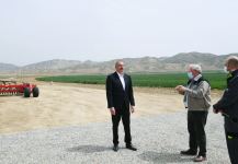 Prezident İlham Əliyev Hacıqabulda "Aqro Dairy" MMC-nin aqroparkının təqdimatında iştirak edib (FOTO)(YENİLƏNİB)