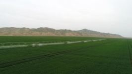 Prezident İlham Əliyev Hacıqabulda "Aqro Dairy" MMC-nin aqroparkının təqdimatında iştirak edib (FOTO)(YENİLƏNİB)