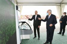 Prezident İlham Əliyev Hacıqabulda “Azərsun Şamaxı Aqropark”ın açılışında iştirak edib (FOTO)(YENİLƏNİB)