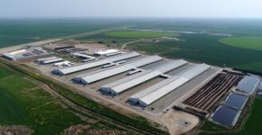 Prezident İlham Əliyev Hacıqabulda “Azərsun Şamaxı Aqropark”ın açılışında iştirak edib (FOTO)(YENİLƏNİB)
