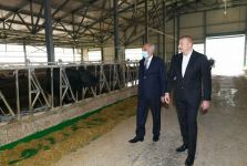 Prezident İlham Əliyev Hacıqabulda “Azərsun Şamaxı Aqropark”ın açılışında iştirak edib (FOTO)(YENİLƏNİB)