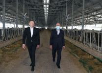 Prezident İlham Əliyev Hacıqabulda “Azərsun Şamaxı Aqropark”ın açılışında iştirak edib (FOTO)(YENİLƏNİB)
