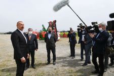 Prezident İlham Əliyev Hacıqabulda fermer Elşən Xəlilovun pambıq tarlasında səpin prosesini izləyib (YENİLƏNİB) (FOTO)