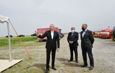 Prezident İlham Əliyev Hacıqabulda fermer Elşən Xəlilovun pambıq tarlasında səpin prosesini izləyib (YENİLƏNİB) (FOTO)