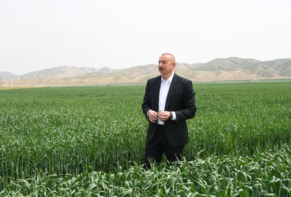 Prezident İlham Əliyev Hacıqabulda "Aqro Dairy" MMC-nin aqroparkının təqdimatında iştirak edib (FOTO)(YENİLƏNİB)