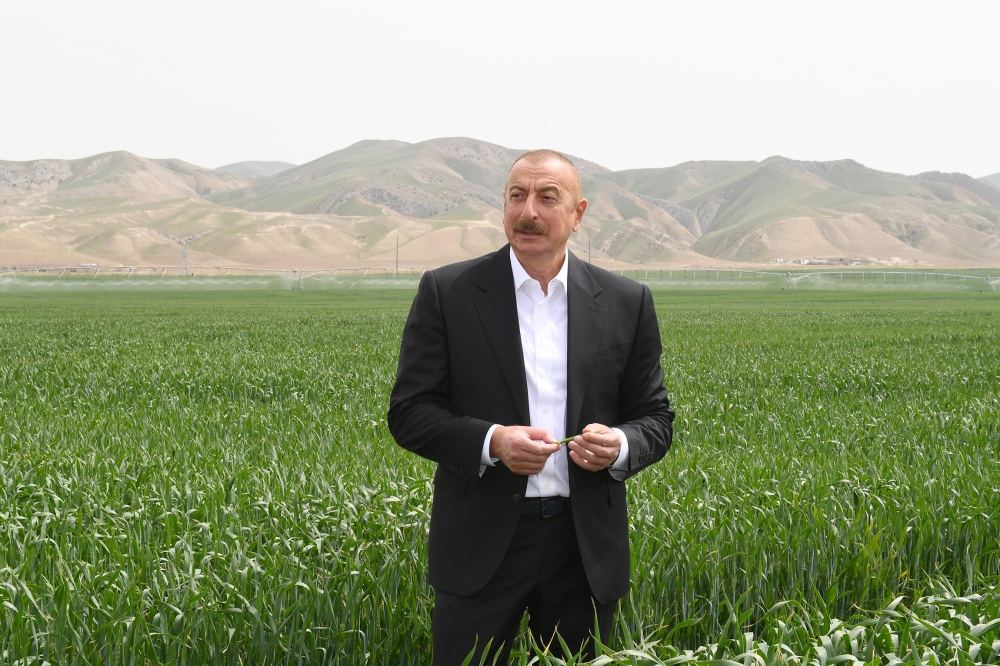 Prezident İlham Əliyev Hacıqabulda "Aqro Dairy" MMC-nin aqroparkının təqdimatında iştirak edib (FOTO)(YENİLƏNİB)