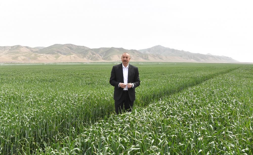 Prezident İlham Əliyev Hacıqabulda "Aqro Dairy" MMC-nin aqroparkının təqdimatında iştirak edib (FOTO)(YENİLƏNİB)