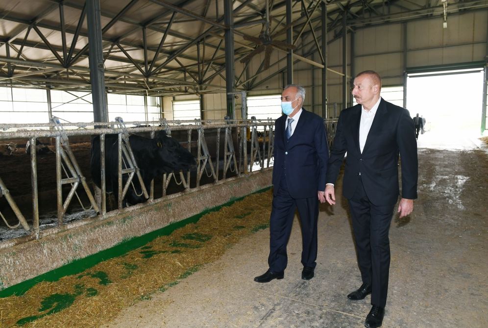 Prezident İlham Əliyev Hacıqabulda “Azərsun Şamaxı Aqropark”ın açılışında iştirak edib (FOTO)(YENİLƏNİB)