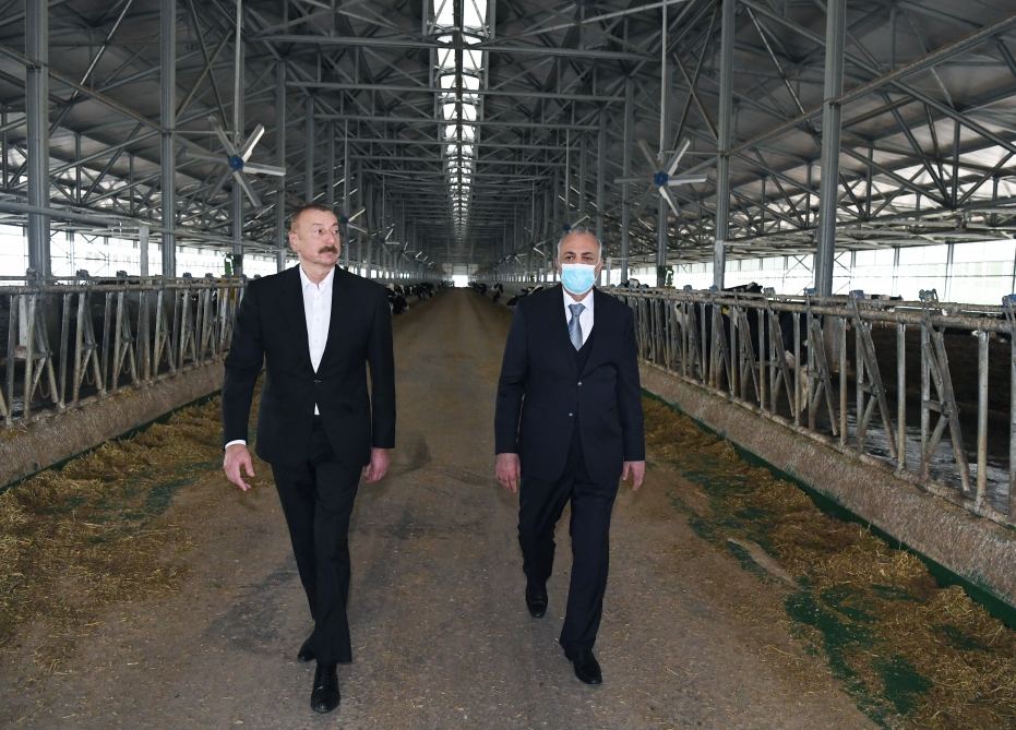Prezident İlham Əliyev Hacıqabulda “Azərsun Şamaxı Aqropark”ın açılışında iştirak edib (FOTO)(YENİLƏNİB)