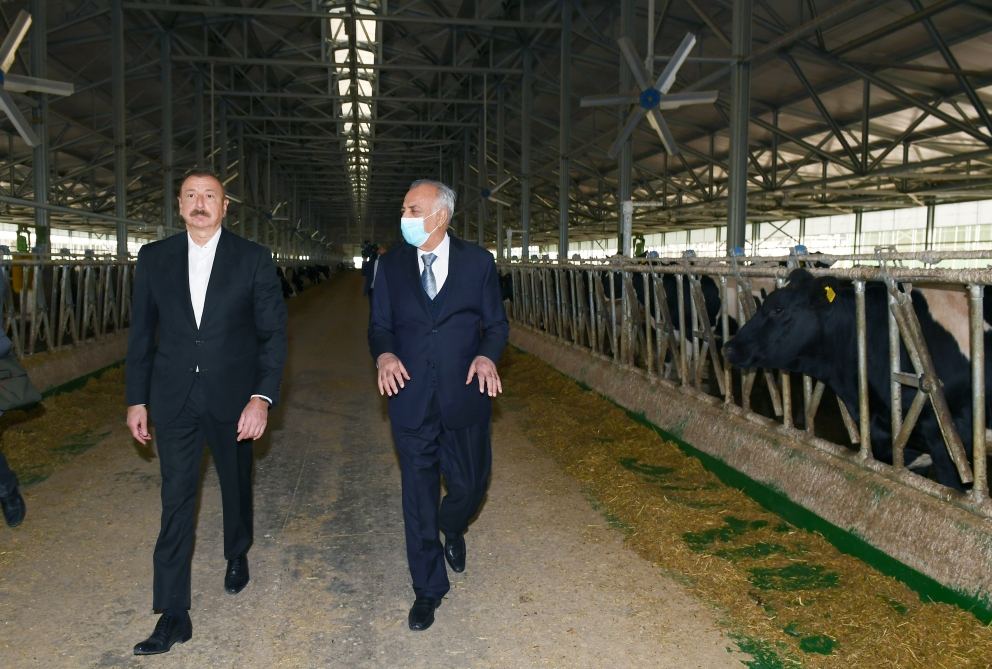 Prezident İlham Əliyev Hacıqabulda “Azərsun Şamaxı Aqropark”ın açılışında iştirak edib (FOTO)(YENİLƏNİB)