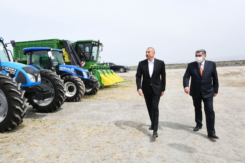 Prezident İlham Əliyev Hacıqabulda fermer Elşən Xəlilovun pambıq tarlasında səpin prosesini izləyib (YENİLƏNİB) (FOTO)