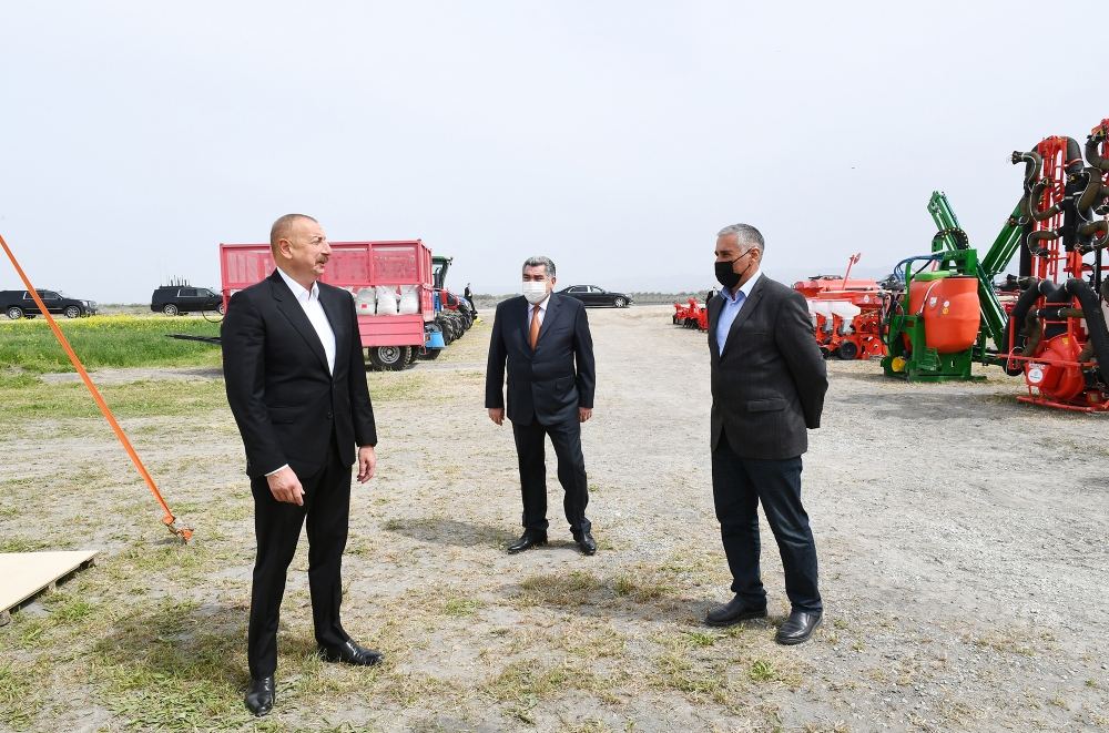 Prezident İlham Əliyev Hacıqabulda fermer Elşən Xəlilovun pambıq tarlasında səpin prosesini izləyib (YENİLƏNİB) (FOTO)