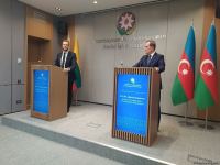Azərbaycan və Litva XİN başçıları mətbuat konfransı keçirilib (FOTO/VİDEO)