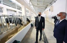 Prezident İlham Əliyev Naxçıvanda Süni Mayalanma Mərkəzinin açılışında iştirak edib (FOTO) (YENİLƏNİB)