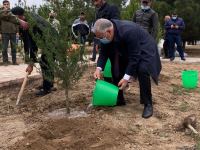 Ağdamda Ulu öndərin doğum günü münasibətilə ağacəkmə kampaniyası keçirilib (FOTO)