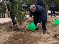 Ağdamda Ulu öndərin doğum günü münasibətilə ağacəkmə kampaniyası keçirilib (FOTO)