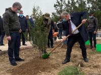 Ağdamda Ulu öndərin doğum günü münasibətilə ağacəkmə kampaniyası keçirilib (FOTO)