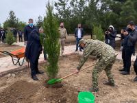 Ağdamda Ulu öndərin doğum günü münasibətilə ağacəkmə kampaniyası keçirilib (FOTO)