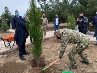 Ağdamda Ulu öndərin doğum günü münasibətilə ağacəkmə kampaniyası keçirilib (FOTO)