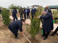 Ağdamda Ulu öndərin doğum günü münasibətilə ağacəkmə kampaniyası keçirilib (FOTO)