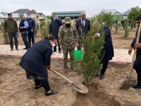 Ağdamda Ulu öndərin doğum günü münasibətilə ağacəkmə kampaniyası keçirilib (FOTO)