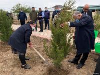 Ağdamda Ulu öndərin doğum günü münasibətilə ağacəkmə kampaniyası keçirilib (FOTO)