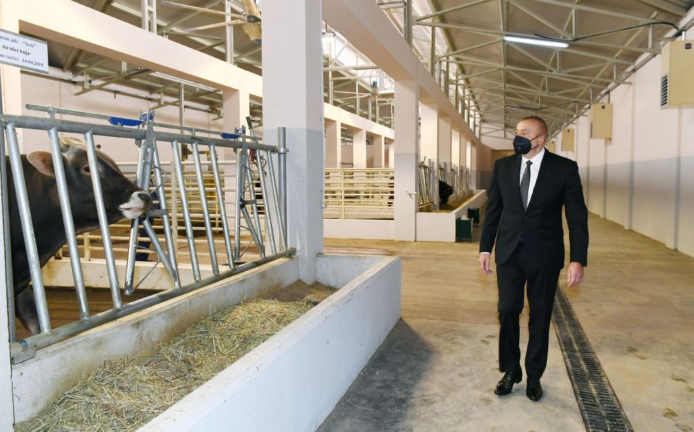 Prezident İlham Əliyev Naxçıvanda Süni Mayalanma Mərkəzinin açılışında iştirak edib (FOTO) (YENİLƏNİB)