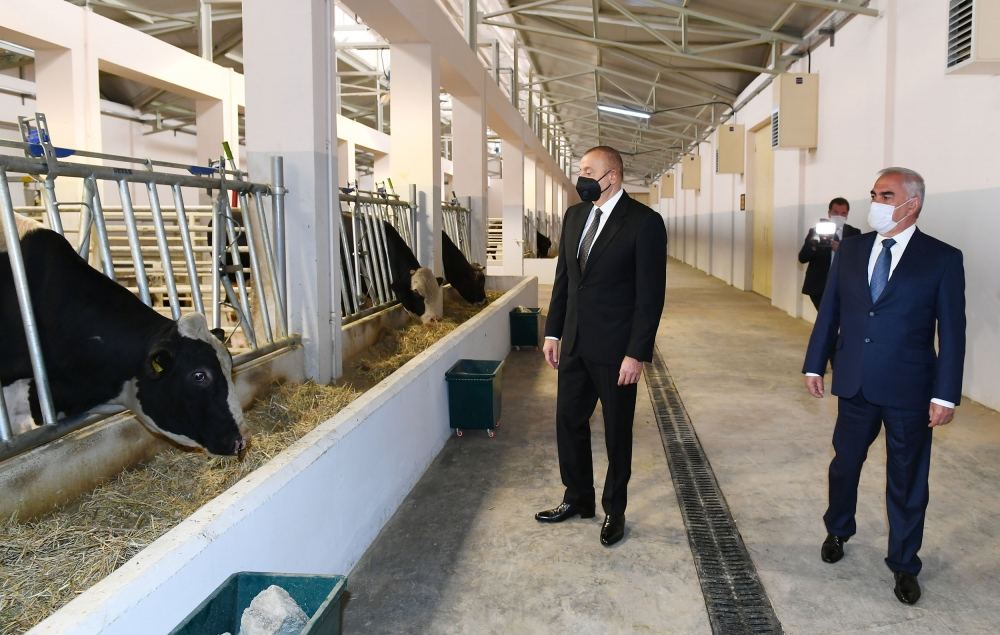 Prezident İlham Əliyev Naxçıvanda Süni Mayalanma Mərkəzinin açılışında iştirak edib (FOTO) (YENİLƏNİB)