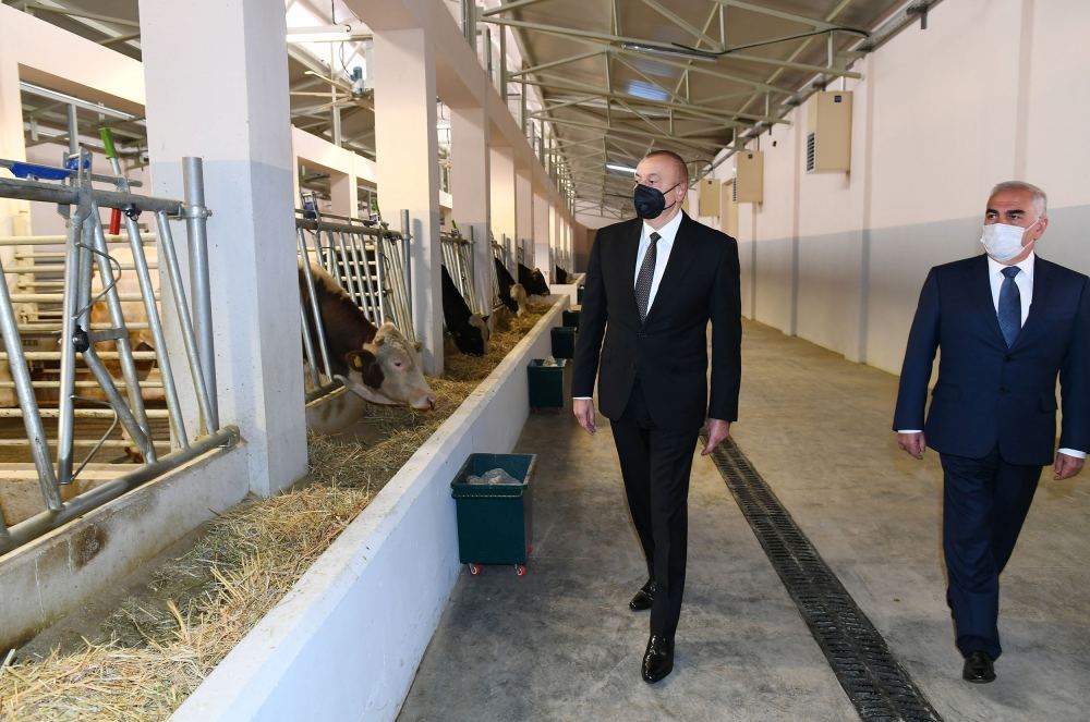 Prezident İlham Əliyev Naxçıvanda Süni Mayalanma Mərkəzinin açılışında iştirak edib (FOTO) (YENİLƏNİB)