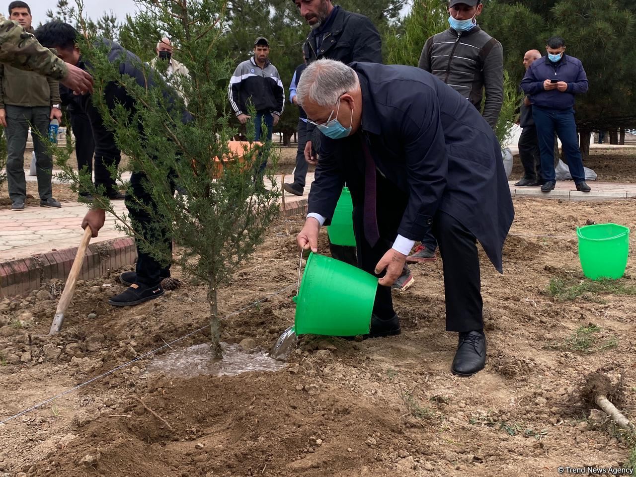 Ağdamda Ulu öndərin doğum günü münasibətilə ağacəkmə kampaniyası keçirilib (FOTO)