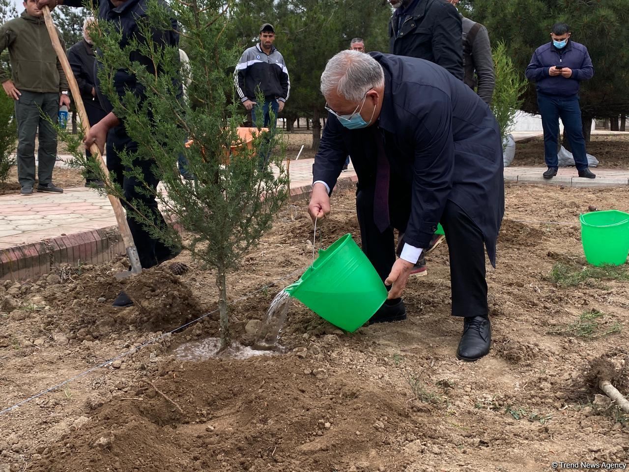 Ağdamda Ulu öndərin doğum günü münasibətilə ağacəkmə kampaniyası keçirilib (FOTO)