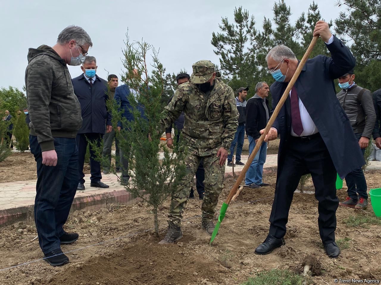 Ağdamda Ulu öndərin doğum günü münasibətilə ağacəkmə kampaniyası keçirilib (FOTO)
