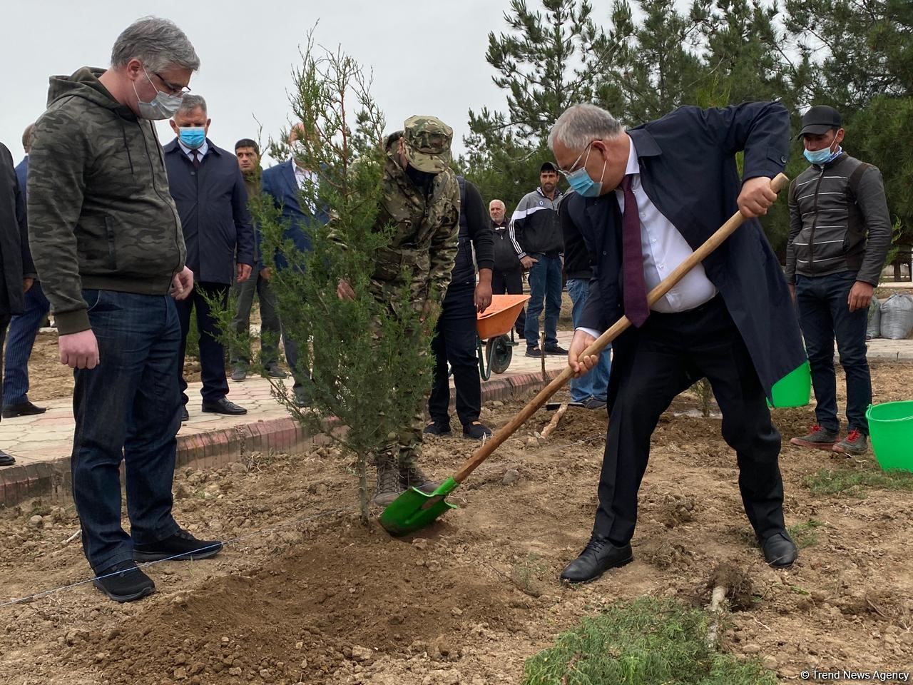 Ağdamda Ulu öndərin doğum günü münasibətilə ağacəkmə kampaniyası keçirilib (FOTO)