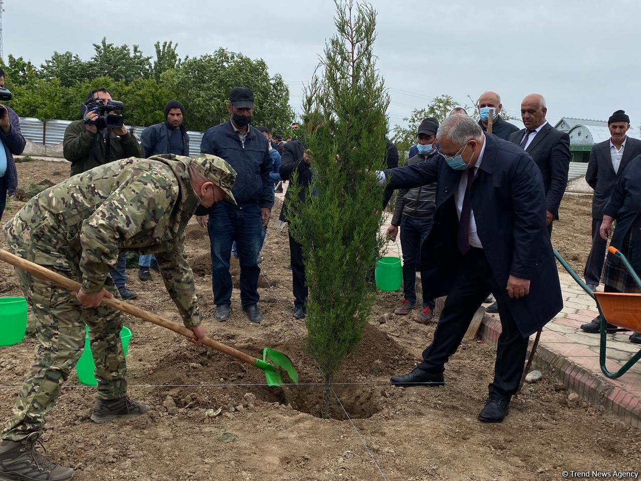 Ağdamda Ulu öndərin doğum günü münasibətilə ağacəkmə kampaniyası keçirilib (FOTO)
